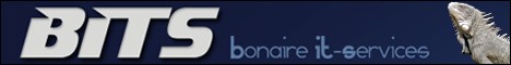 Bits Bonaire website design